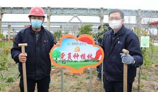 1584066763234799.jpg 1584066763234799.jpg